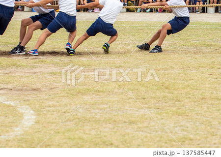 運動会 137585447