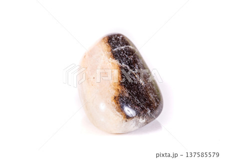 Macro mineral stone jasper on a white background Macro mineral stone jasper on a white background 137585579