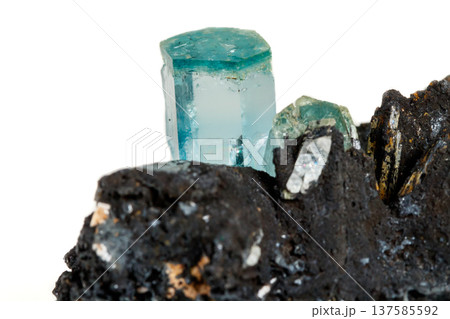 Macro mineral stone Aquamarine and black tourmaline, Schorl on a white background 137585592