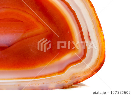 Macro mineral orange agate in crystals on white background 137585603