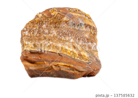 Macro mineral stone Tiger's eye in the breed on a white background 137585632
