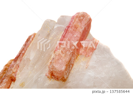 Macro mineral stone Tourmaline in the breed a white background 137585644