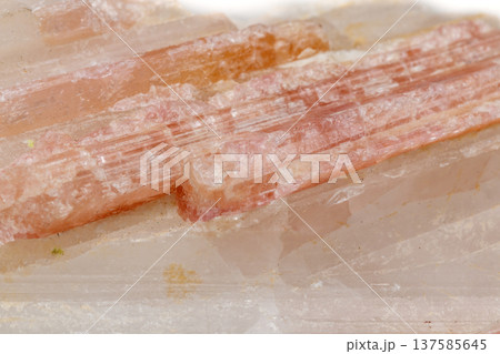 Macro mineral stone Tourmaline in the breed a white background 137585645