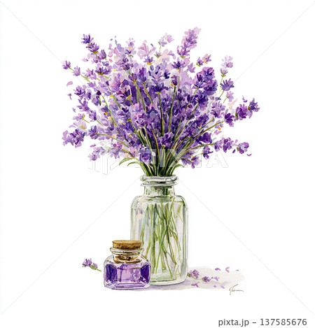 Fresh lavender flowers in a glass jar with a small bottle of lavender essence on a plain background Fresh lavender flowers in a glass jar with a small bottle of lavender essence on a plain background 137585676