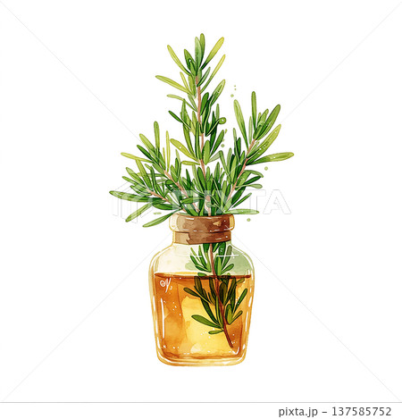 Glass jar holds fresh rosemary sprigs in oil on a plain background in a kitchen setting during daytime Glass jar holds fresh rosemary sprigs in oil on a plain background in a kitchen setting during daytime 137585752