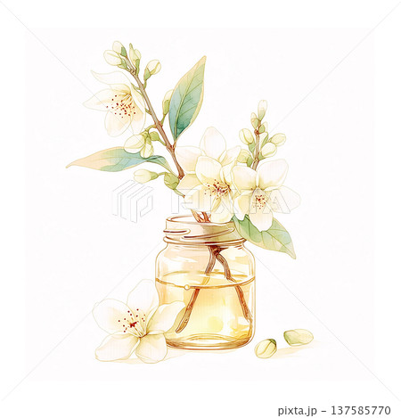 Flowers in a jar with leaves and petals on a white background during spring time Flowers in a jar with leaves and petals on a white background during spring time 137585770