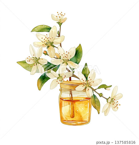Flowers in a jar with honey on a white background showing nature's beauty and simple design 137585816