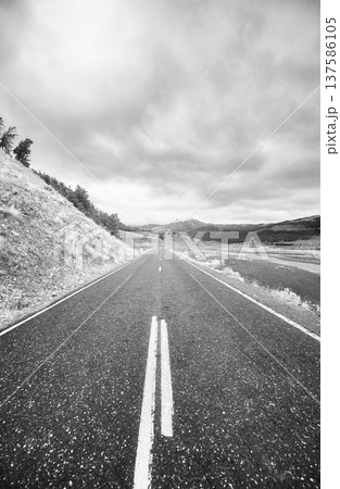 Black and white photo of a road in Yellowstone National Park, USA. 137586105
