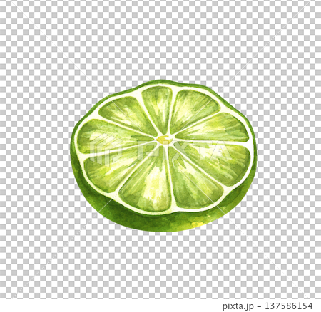 Watercolor illustration of a round juicy slice of lime. Bright green citrus slices with realistic texture. The realistic clipart is suitable for decorating summer drinks, cocktail menus, organic food Watercolor illustration of a round juicy slice of lime. Bright green citrus slices with realistic texture. The realistic clipart is suitable for decorating summer drinks, cocktail menus, organic food 137586154