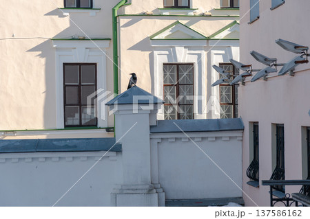 Bird sitting on small architectural pillar near classic window facade with decorative security cameras on building wall. Urban security, surveillance technology, historic architecture detail 137586162
