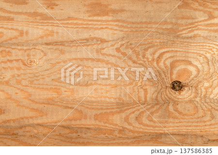 Natural new uncolored pine log pattern, background photo texture Natural new uncolored pine log pattern, background photo texture 137586385