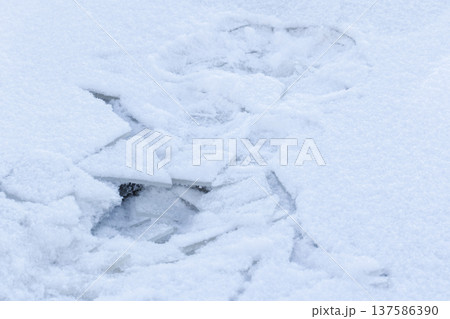 Ice shards under a thick layer of fresh snow cover polinya Ice shards under a thick layer of fresh snow cover polinya 137586390