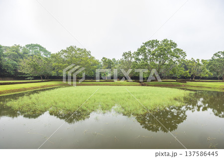 The gardens of Sigiriya in Sri Lanka. Tranquil green landscape with lush trees reflected peacefully in still water under a soft, overcast sky, highlighting nature's calm The gardens of Sigiriya in Sri Lanka. Tranquil green landscape with lush trees reflected peacefully in still water under a soft, overcast sky, highlighting nature's calm 137586445