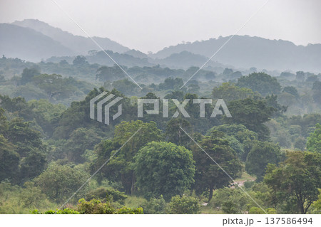 Panoramic view of a dense tropical forest with misty mountains and rolling hills under a hazy sky, showcasing nature's beauty. Hurulu Eco Park Safari in Sri Lanka. Panoramic view of a dense tropical forest with misty mountains and rolling hills under a hazy sky, showcasing nature's beauty. Hurulu Eco Park Safari in Sri Lanka. 137586494