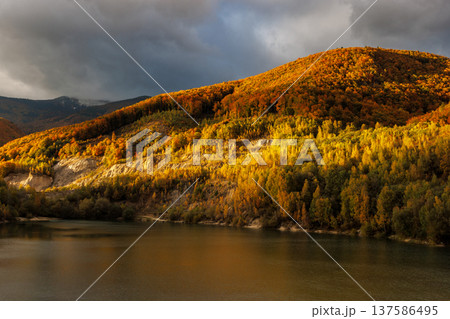 Autumnal trees bask under a dramatic sky. Water reflects the golden light, promising a crisp, vibrant, and captivating landscape. Flooded quarry near the village Sutovo in Slovakia, Europe. Autumnal trees bask under a dramatic sky. Water reflects the golden light, promising a crisp, vibrant, and captivating landscape. Flooded quarry near the village Sutovo in Slovakia, Europe. 137586495