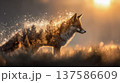 Double exposure of red fox with forest silhouette and golden light particles at dawn, magical background for wildlife illustration 137586609