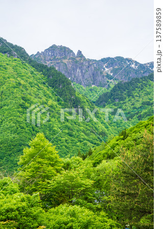 新緑の奥飛騨温泉郷中尾高原から望む錫杖岳 137589859