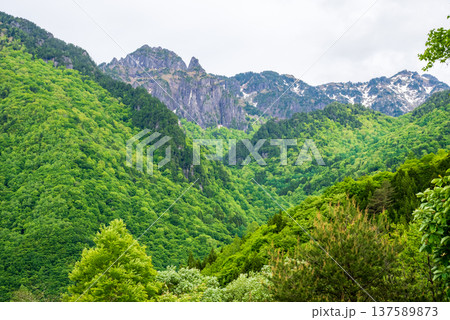 新緑の奥飛騨温泉郷中尾高原から望む錫杖岳 新緑の奥飛騨温泉郷中尾高原から望む錫杖岳 137589873