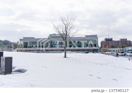 雪景色の石川県政記念しいのき迎賓館 雪景色の石川県政記念しいのき迎賓館 137590127