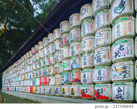 Tokyo, Japan - Oct 15 2024, panoramic view of the many barrels of sake called kazaridaru decorated with various patterns and inscriptions on the territory of the Meiji Temple, Tokyo, Japan 137590695