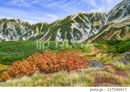 初秋の立山「みどりが池」越しに見る山並み 137590917