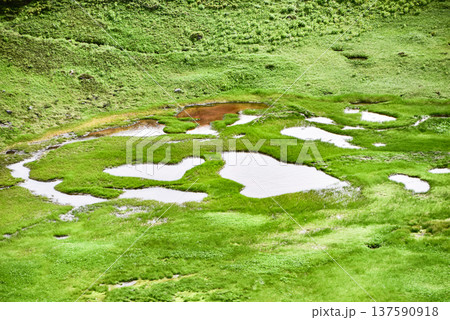 夏の立山「血の池」 夏の立山「血の池」 137590918