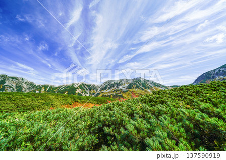 初秋の立山「みくりが池」 初秋の立山「みくりが池」 137590919