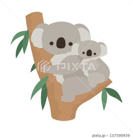ユーカリの木に登ってるコアラの親子のフラットイラスト素材 137590939