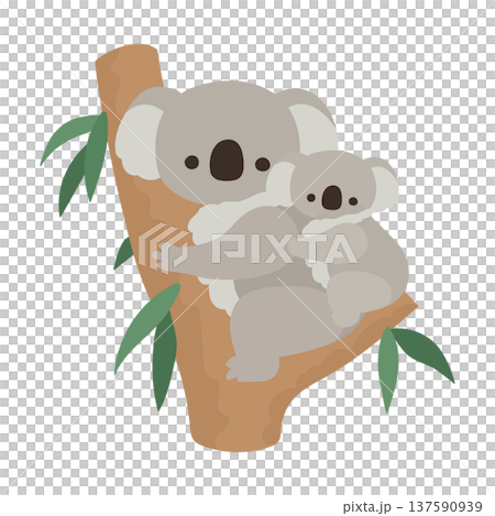 ユーカリの木に登ってるコアラの親子のフラットイラスト素材 137590939