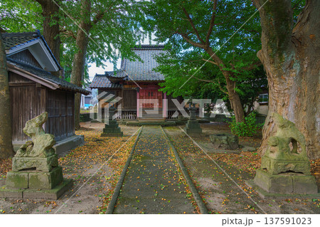 Sakata, Yamagata, japan - Oct 5 2024, a panoramic view of a Japanese garden on the grounds of a temple or shrine, without people, at daytime, Sakata, Japan 137591023