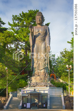 Sakata, Yamagata, japan - Oct 5 2024, A vertical view of the giant Great Buddha statue at Jichi-In Temple, with trees in the background, at daytime, Sakata, Japan 137591066