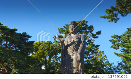 Sakata, Yamagata, japan - Oct 5 2024, A panoramic view of the giant Great Buddha statue at Jichi-In Temple, with trees in the background, at daytime, Sakata, Japan 137591091
