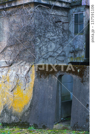 Sakata, Yamagata, japan - Oct 5 2024, vertical view of an ancient stone building with an arched passage, walls covered with branches of a creeping plant, moss and lichen, without people, Sakata, Japan 137591106