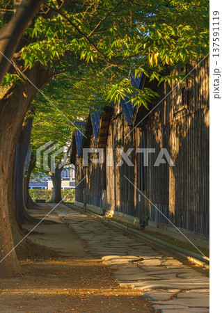 Sakata, Yamagata, japan - Oct 5 2024, vertical view of Sankyo Soko Storehouse with an alley of trees nearby, at sunset, without people, Sakata, Japan 137591119