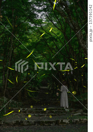 森の蛍と女性の縦画像 137591142