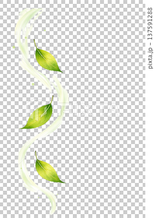 鮮嫩的綠葉流著水彩線條，構成自然植物裝飾圖案。 137591288