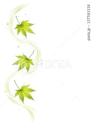 新緑のもみじの葉が流れる水彩ライン装飾 ボタニカルあしらい素材 137591316