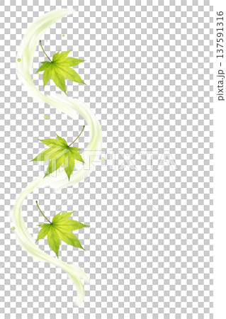 新緑のもみじの葉が流れる水彩ライン装飾 ボタニカルあしらい素材 137591316