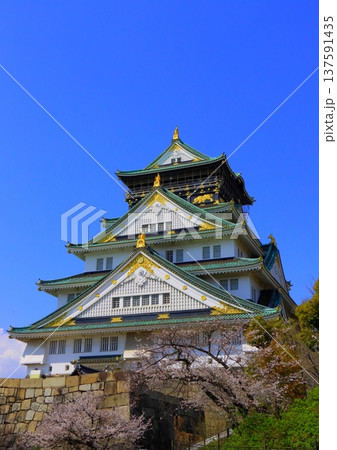 春の大阪城天守閣 137591435