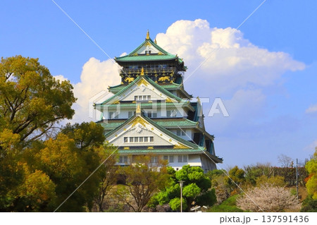 春の大阪城天守閣 春の大阪城天守閣 137591436