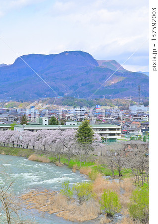 雪代水で増水の利根川 桜並木 三峰山 群馬県沼田市 雪代水で増水の利根川 桜並木 三峰山 群馬県沼田市 137592003
