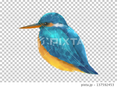 青い鳥カワセミの水彩イラスト 137592453