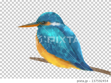 Watercolor illustration of a kingfisher perched on a branch 137592454