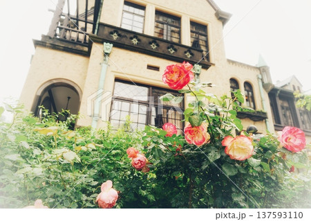 洋館と薔薇 洋館と薔薇 137593110