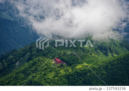 北アルプス・樅沢岳から見る鏡平 北アルプス・樅沢岳から見る鏡平 137593236