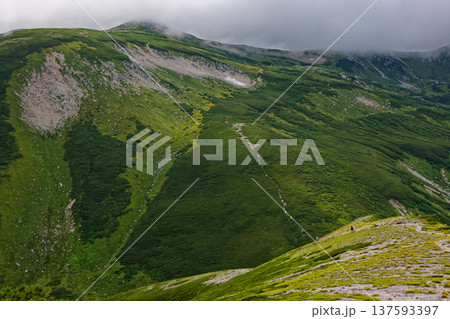 北アルプス・樅沢岳稜線を行く登山者と双六岳 北アルプス・樅沢岳稜線を行く登山者と双六岳 137593397