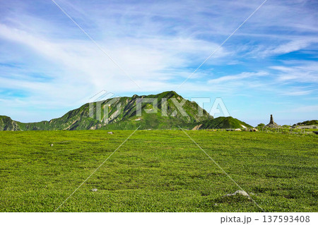 夏の立山、室堂平 137593408