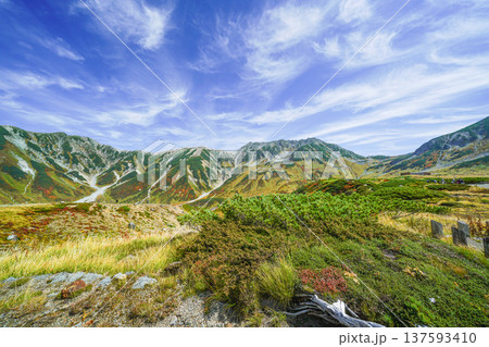 秋の室堂平より立山を望む 秋の室堂平より立山を望む 137593410