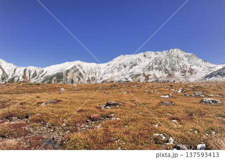 立山　秋の室堂平 137593413