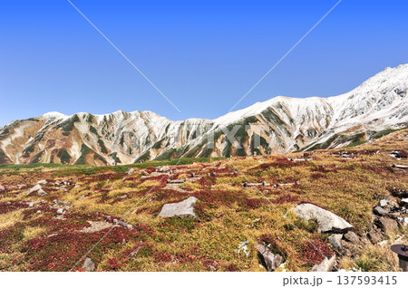 立山 秋の室堂平 立山 秋の室堂平 137593415